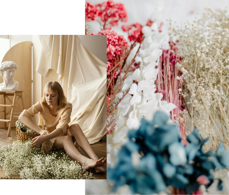 despre florile de la north store