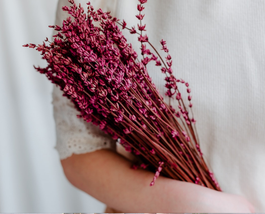 lavanda fuxia culoare